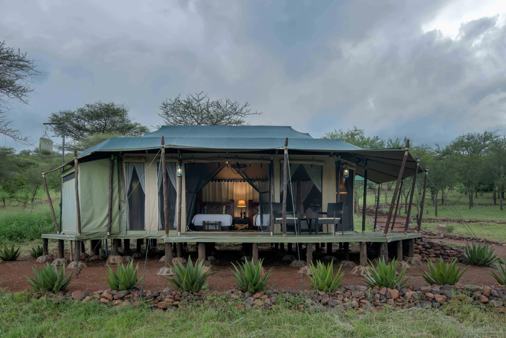 Ole Serai Luxury Camp Moru Kopjes