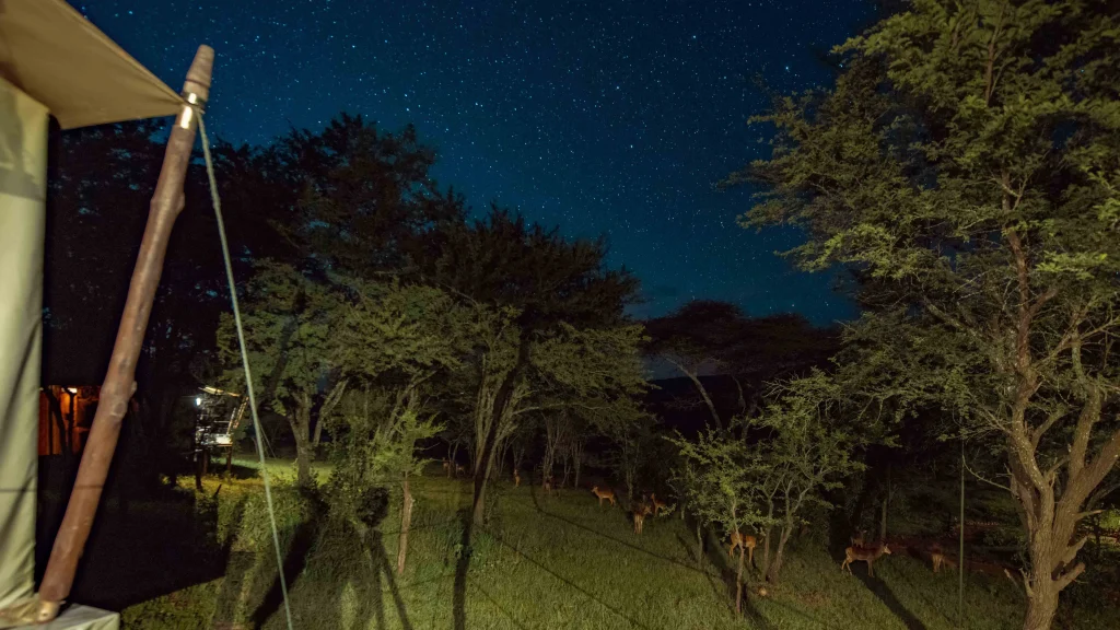 Ole Serai Luxury Camp Moru Kopjes