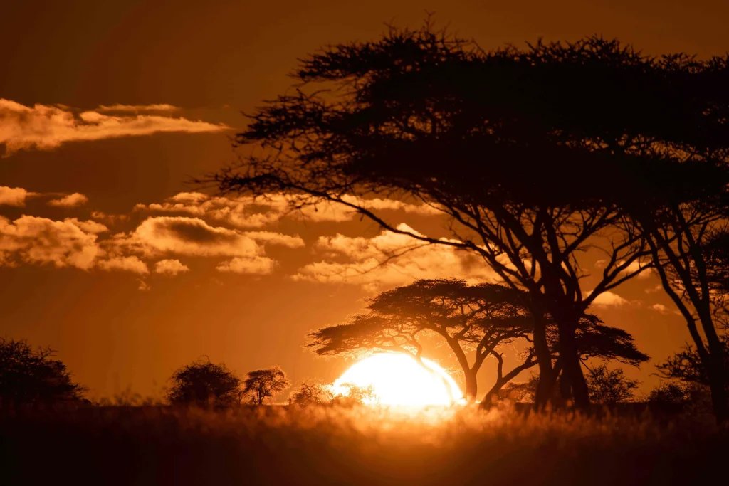 Ole Serai Luxury Camp Turner Springs