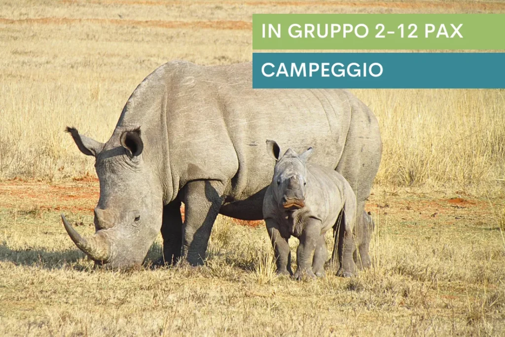 Zimbabwe e Botswana Game Trail