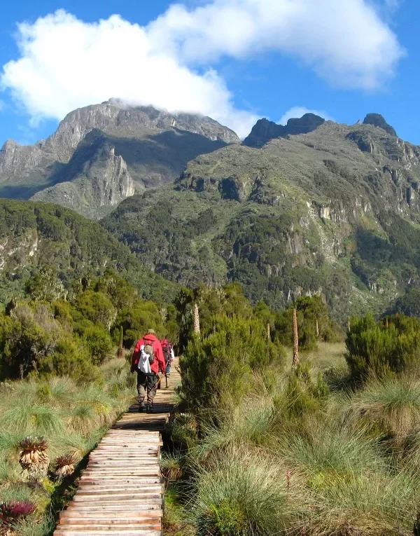 Trekking sui Monti Rwenzori