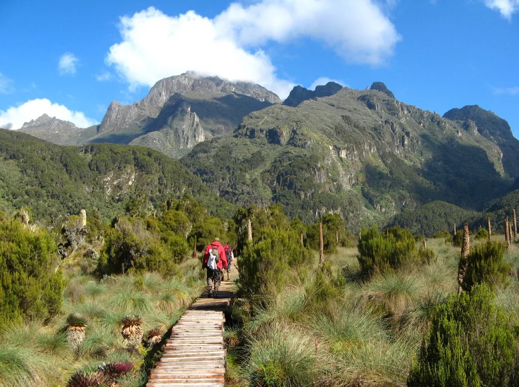Trekking sui Monti Rwenzori