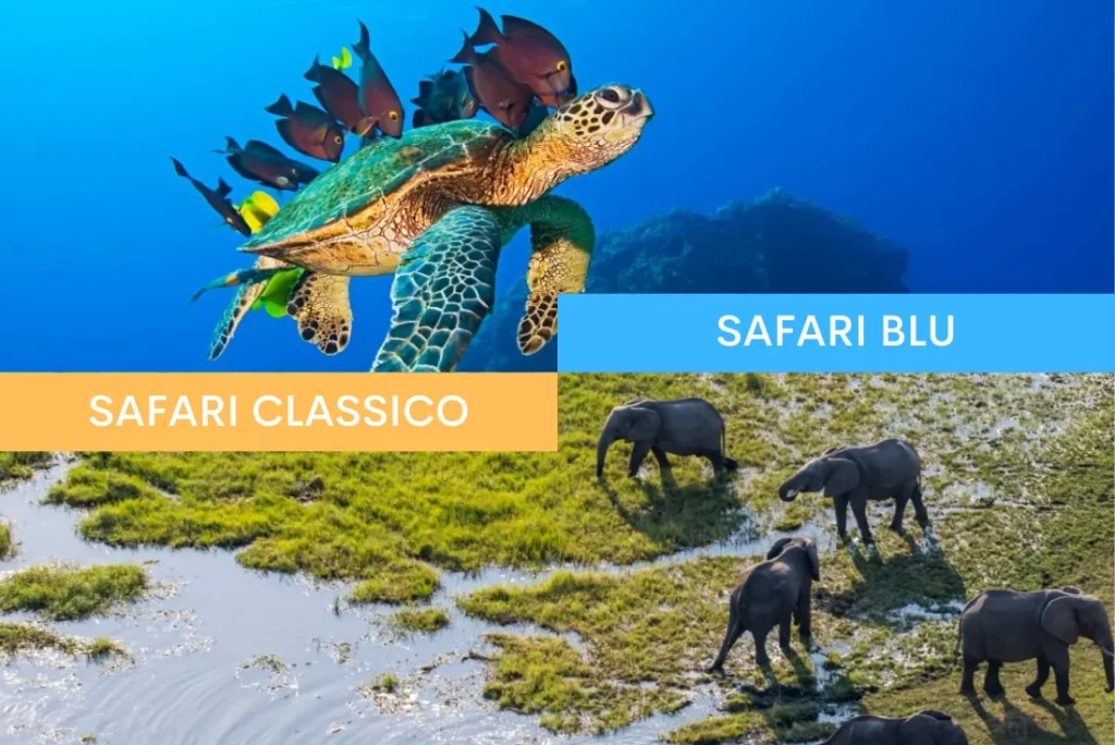 Botswana e Seychelles - Safari Focus e mare