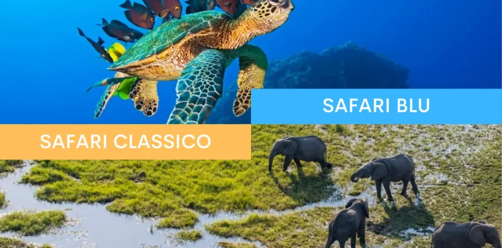 Botswana e Seychelles - Safari Focus e mare