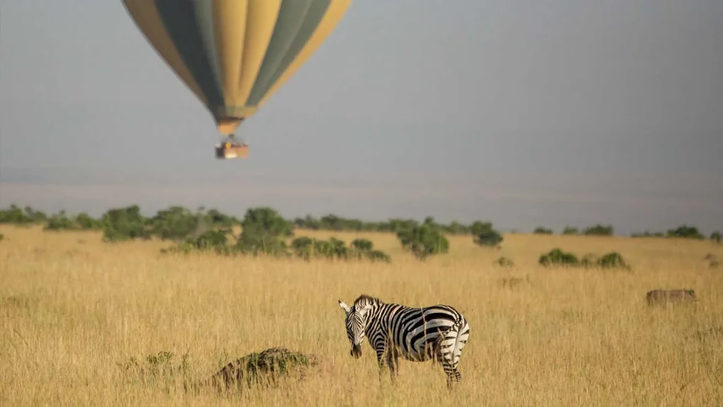 Kenya – Sala's Camp