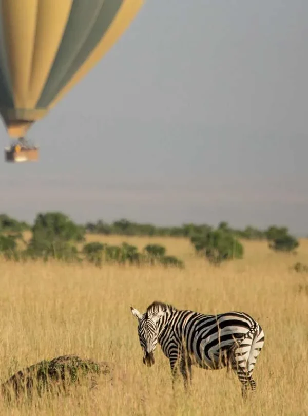 Kenya – Sala's Camp