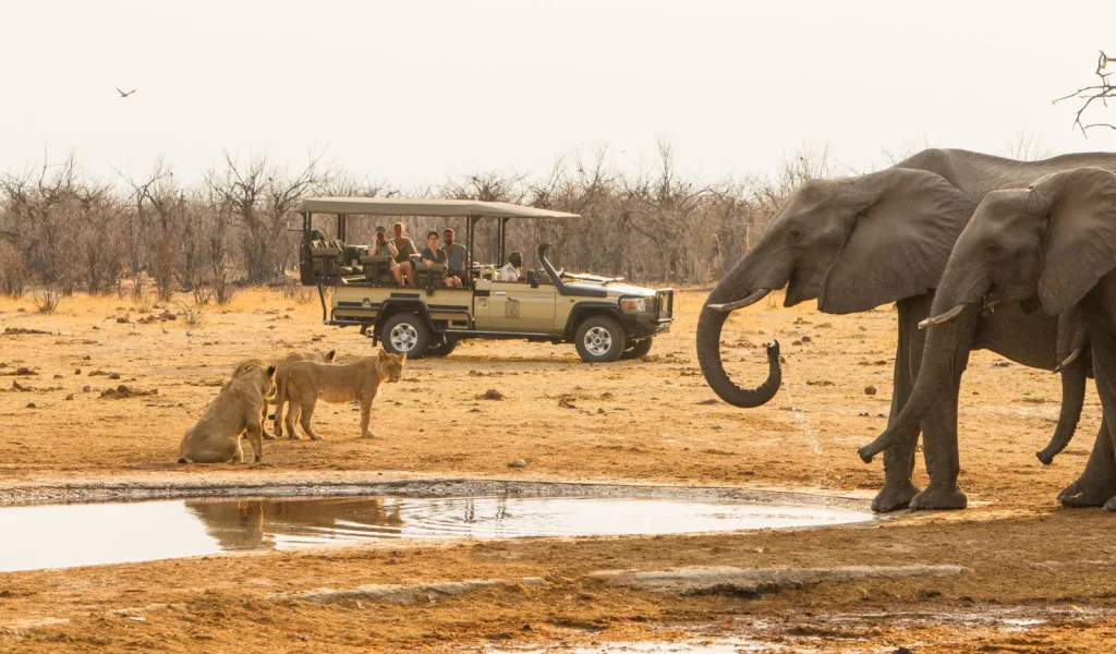 Botswana - Desert & Delta Classic - Lodge safari