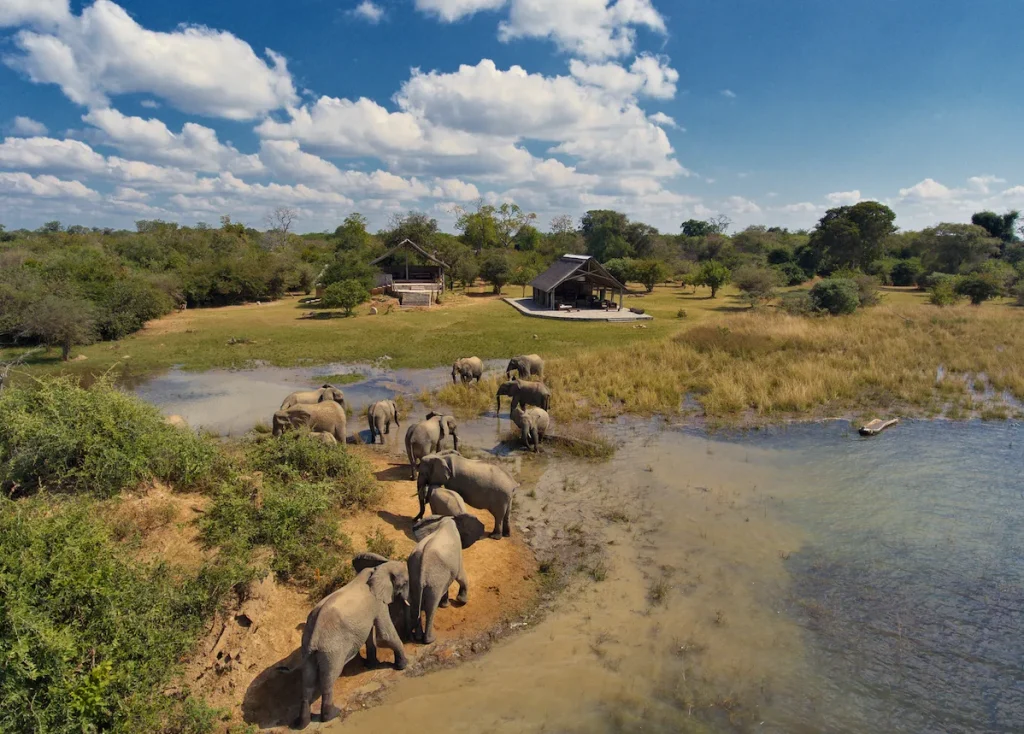 Zambia - Konkamoya Lodge