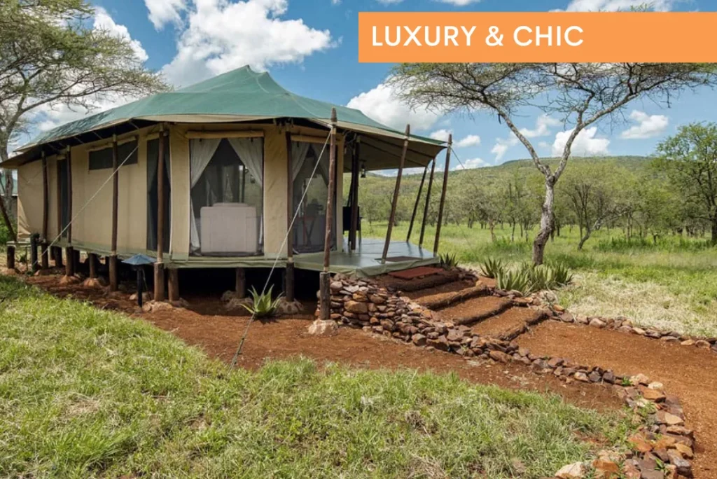 Ole Serai Luxury Camp Moru Kopjes