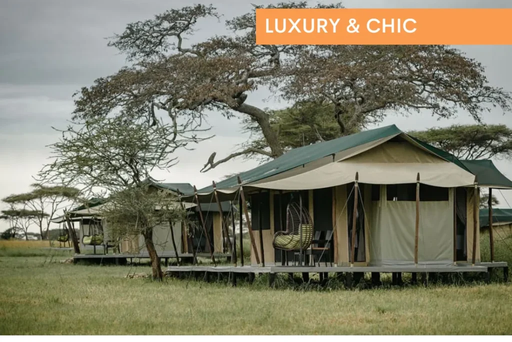 Tanzania – Ole Serai Luxury Camp Turner Springs