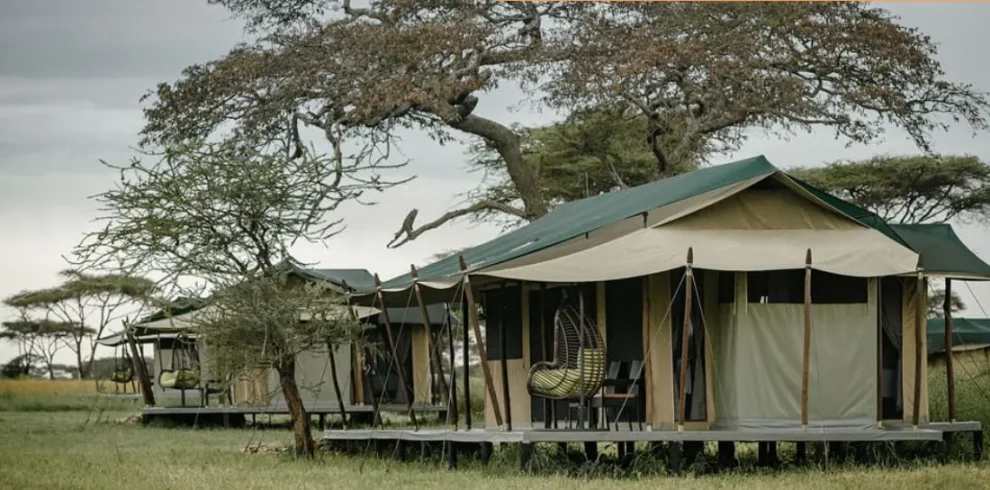Tanzania – Ole Serai Luxury Camp Turner Springs