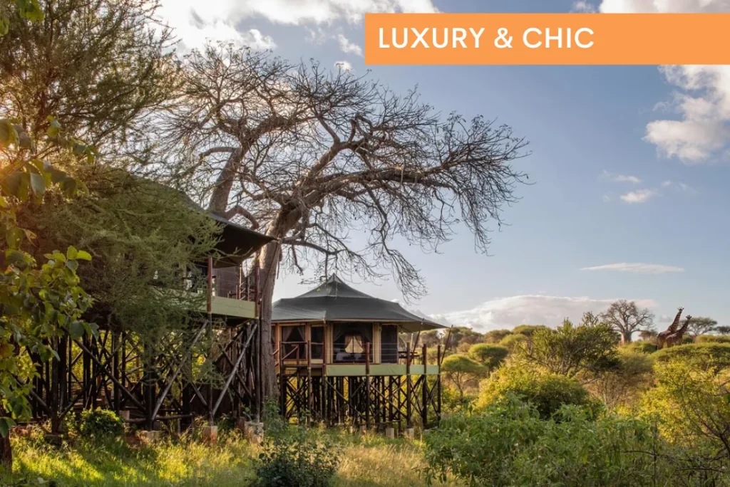 Tanzania – Tarangire Kuru Treetops Lodge