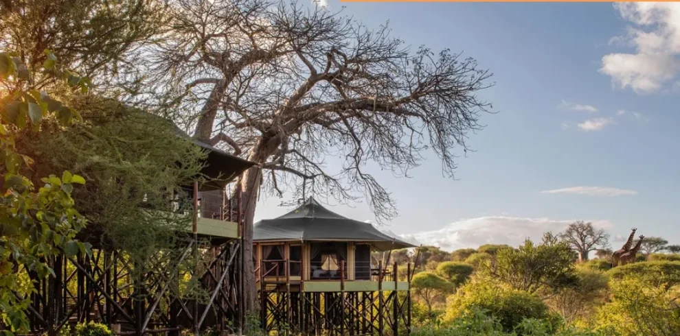 Tanzania – Tarangire Kuru Treetops Lodge