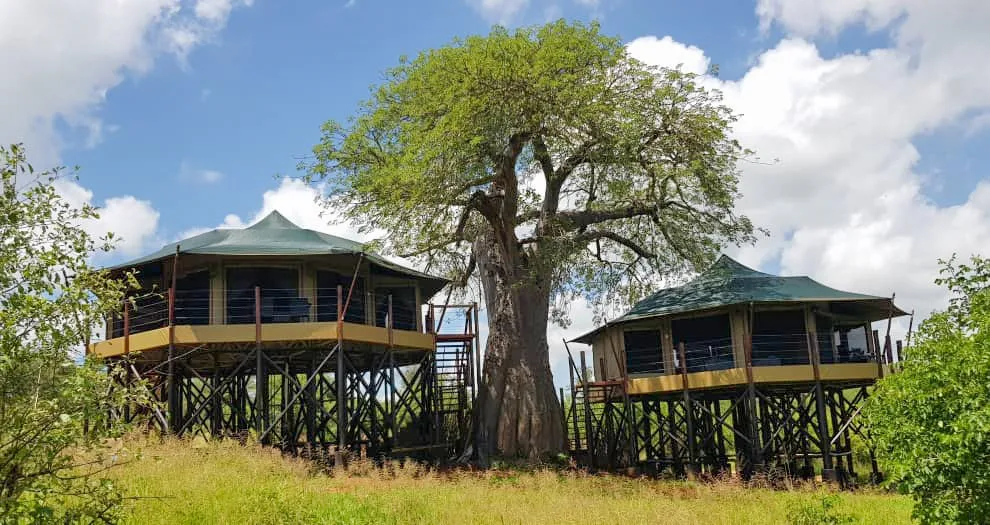 Tarangire Kuru Treetops Lodge