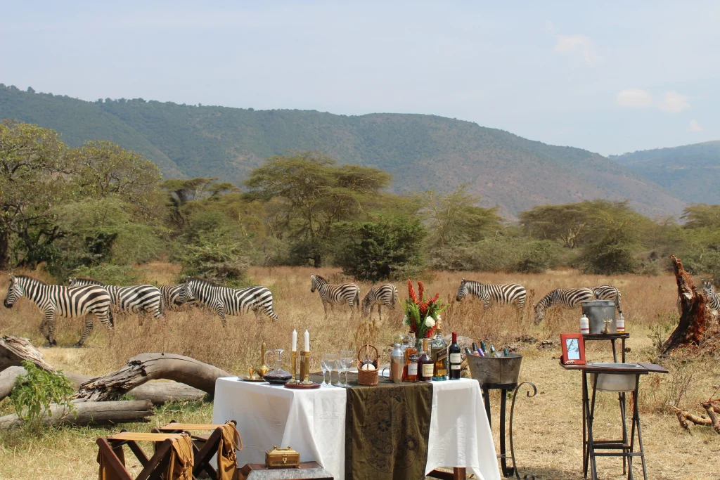 Tanzania deluxe - Elewana collection