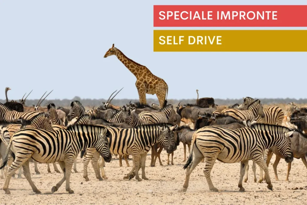 Affascinante Namibia - Self drive 4X4
