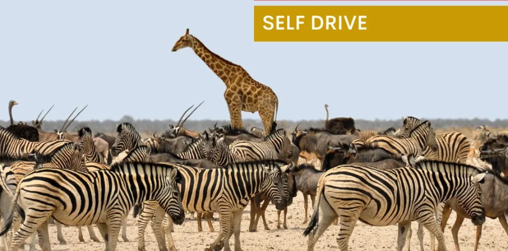 Affascinante Namibia - Self drive 4X4