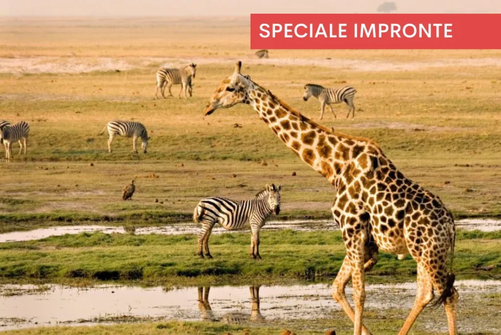 Victoria Falls, Botswana & Seychelles