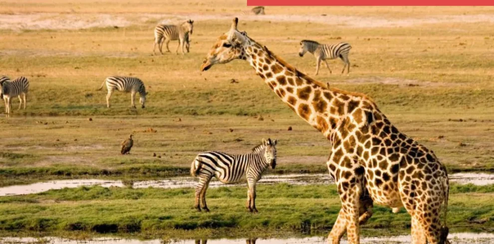 Victoria Falls, Botswana & Seychelles
