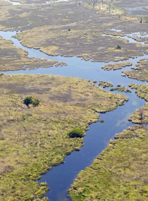 Botswana: Wildlife Lodge Safari