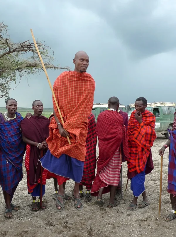 Kenya - Il Masai Mara, Amboseli e Tsavo