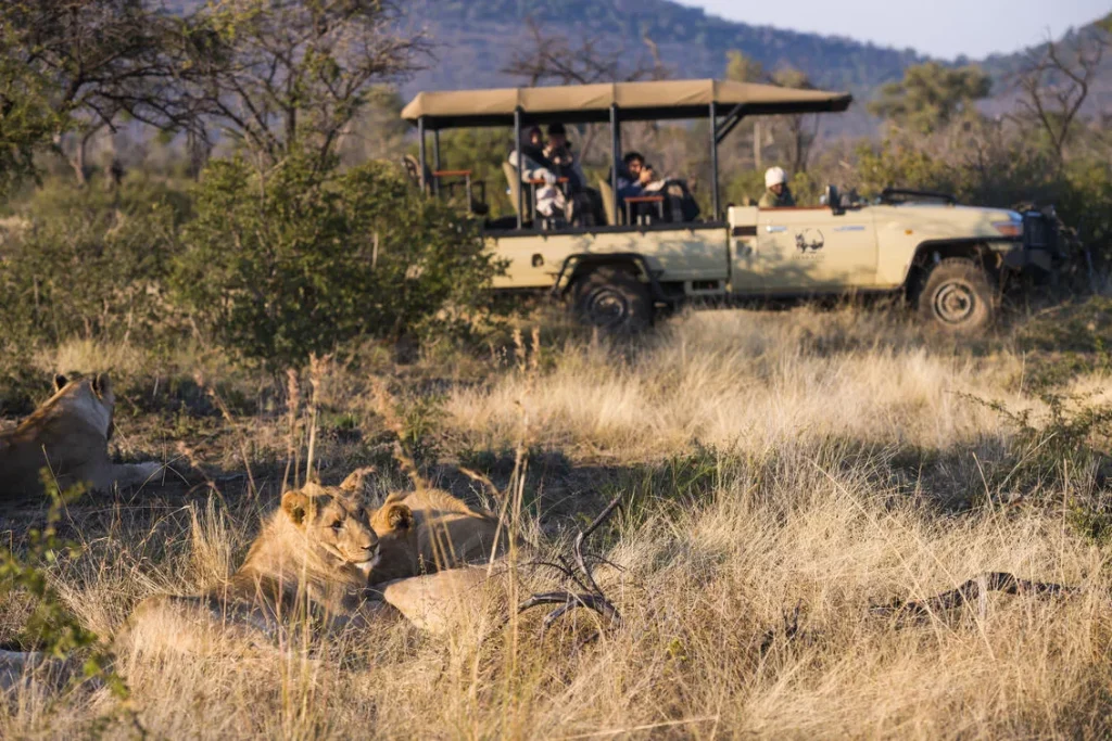 Sud Africa - Madikwe & Cape Town