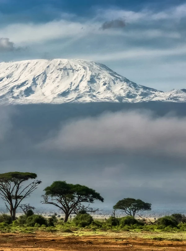 Kilimanjaro Amboseli Kenya
