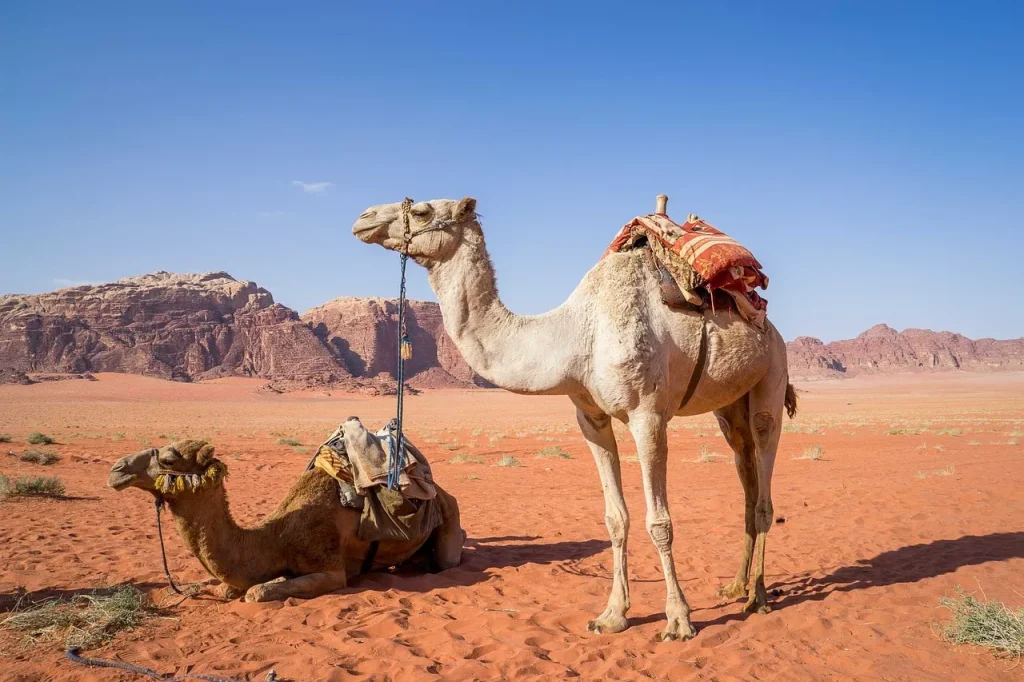 Giordania Classica & Wadi Rum Experience