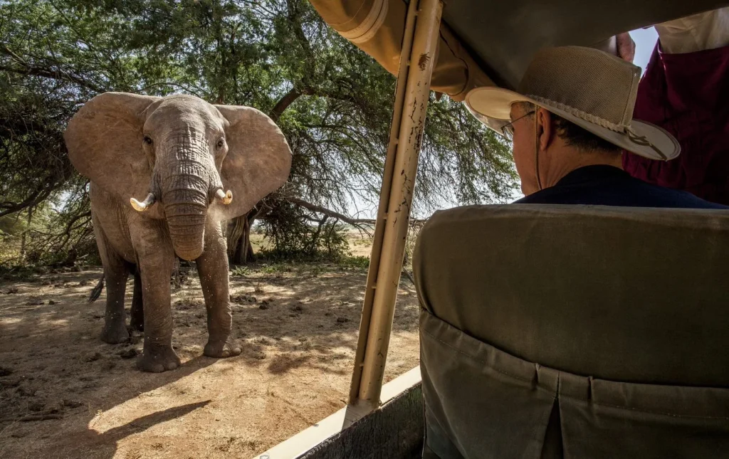 Kenya – Sasaab Luxury Tended Camp