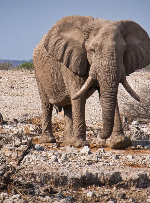 Overland - Namibia Botswana Desert & Delta
