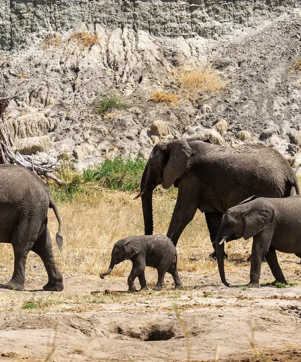 Tanzania - Speciale Migrazione Ndutu