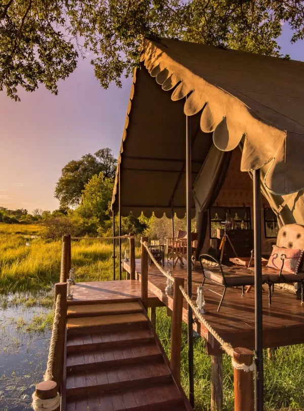 Botswana – Duke's Camp