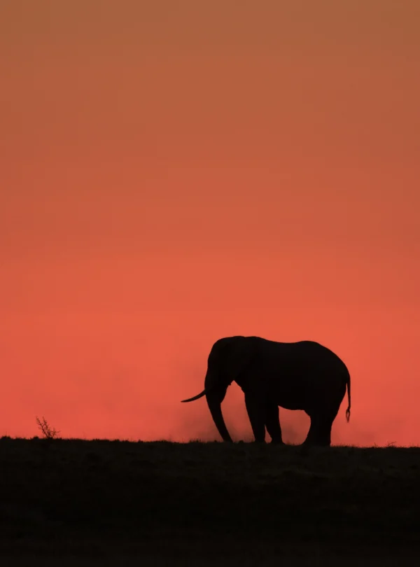 Botswana – San Camp