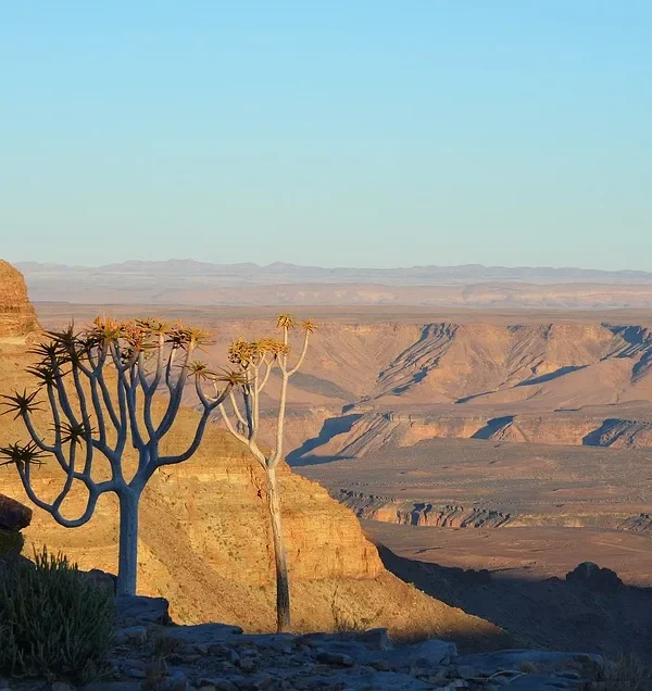 Transkalahari Adventure