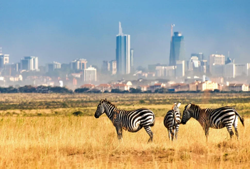 Una strada all'interno del Nairobi National Park?