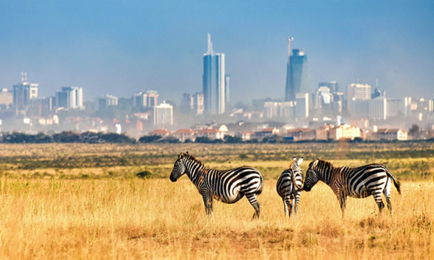 Una strada all'interno del Nairobi National Park?