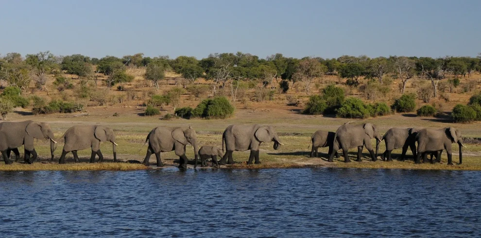 Tanzania Exploration