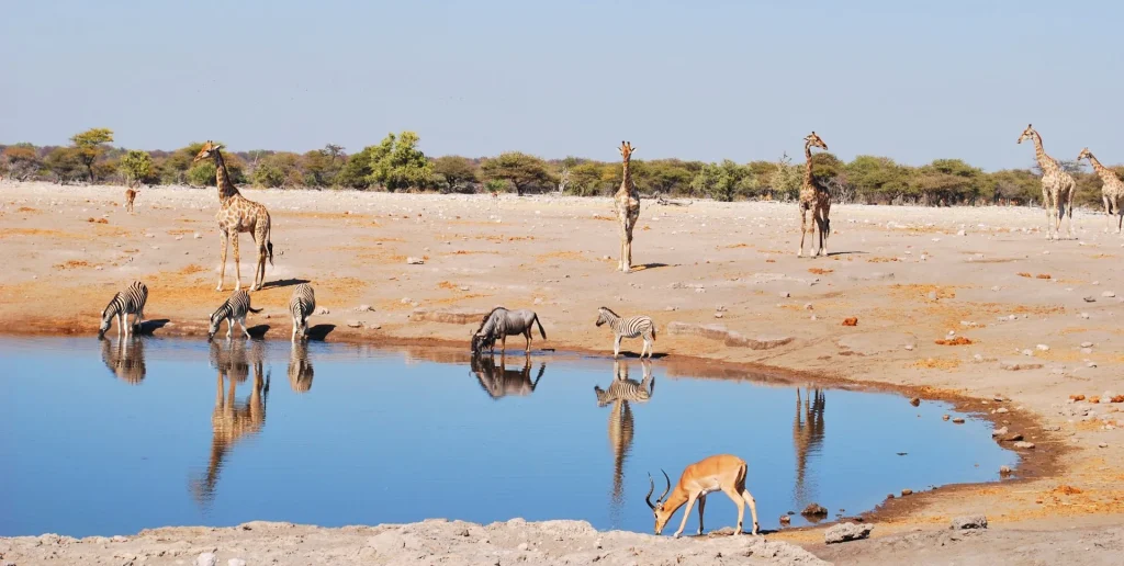 Namibia camping self drive