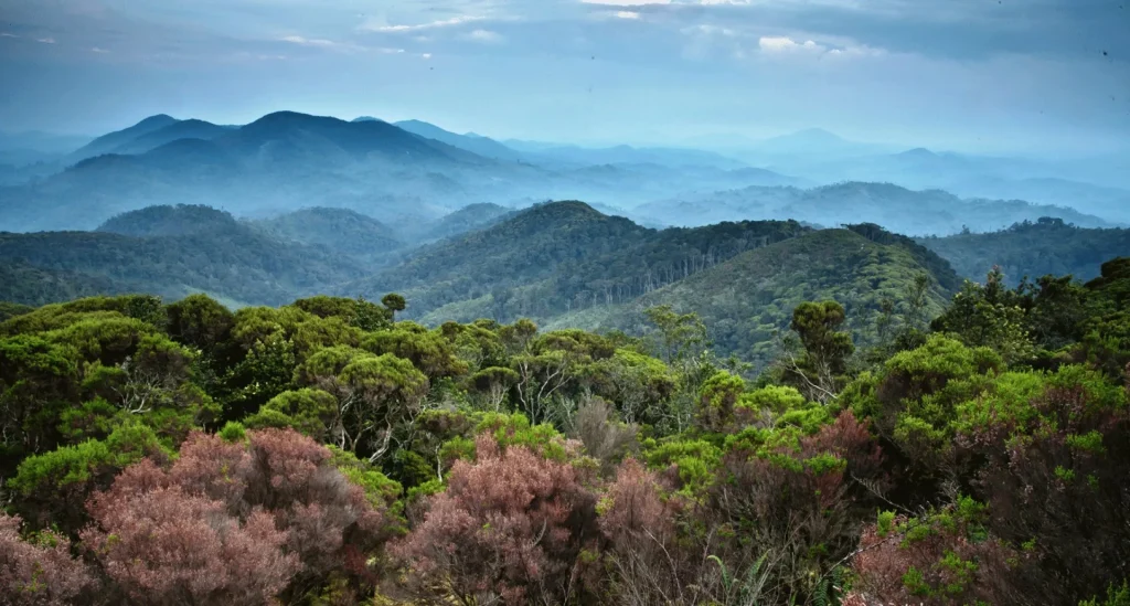 Uganda e Rwanda - Mille colline d'Africa