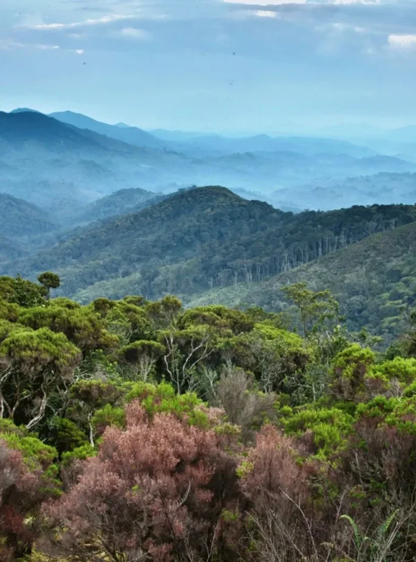 Uganda e Rwanda - Mille colline d'Africa