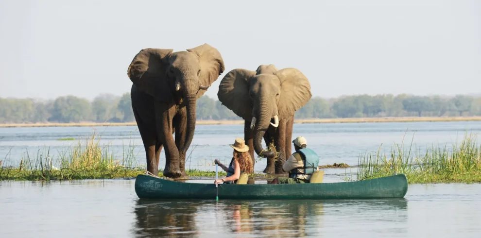 Overland - Trade route