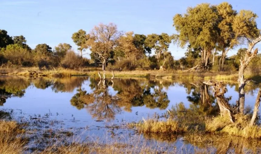 La Namibia che non ti aspetti: Caprivi Strip