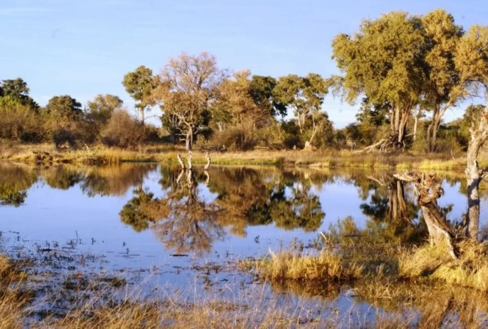 La Namibia che non ti aspetti: Caprivi Strip
