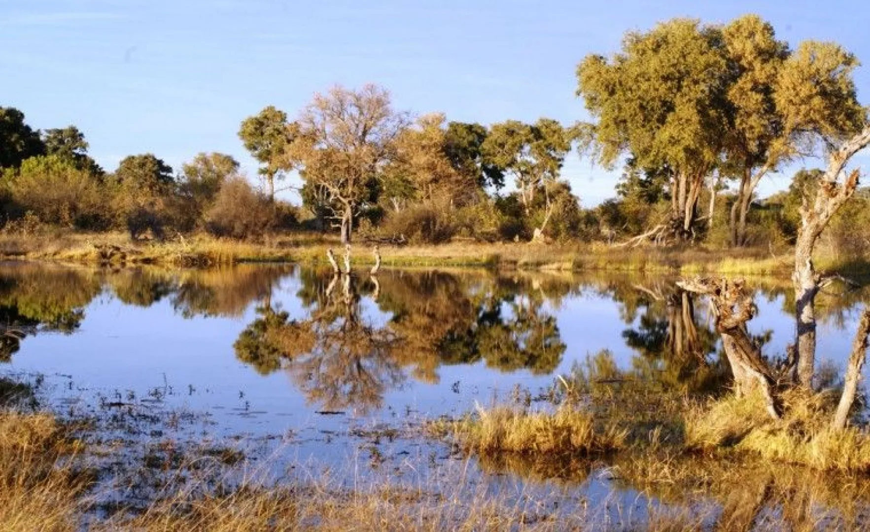 La Namibia che non ti aspetti: Caprivi Strip