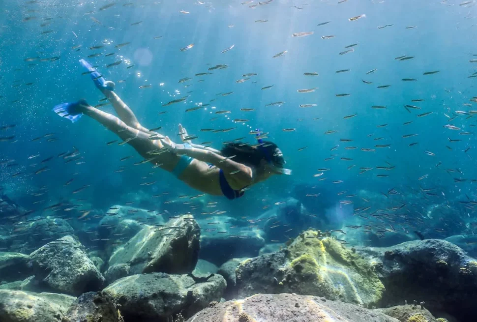 Mauritius o Seychelles?