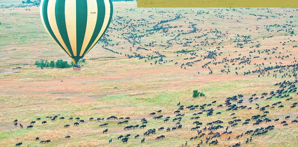 Kenya - I parchi del Nord