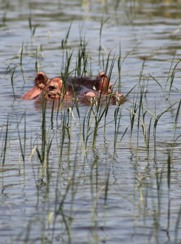Etiopia - Valle dell'Omo