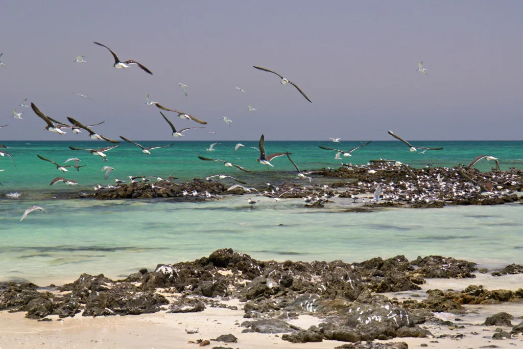 Oman - Hawla Tour in 4x4