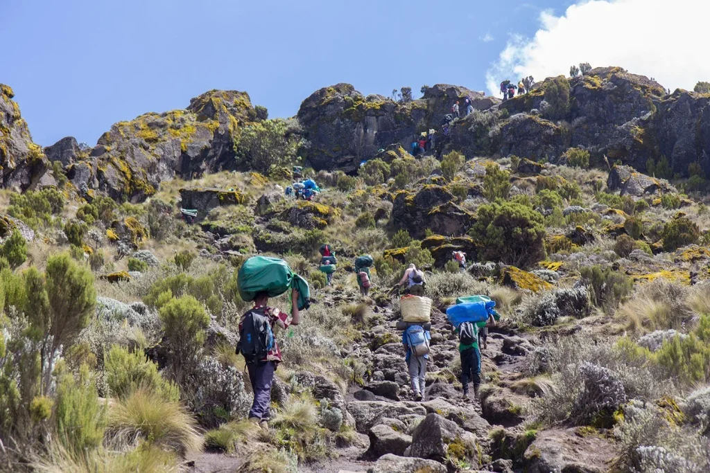 Trekking sul Kilimanjaro - Marangu Route