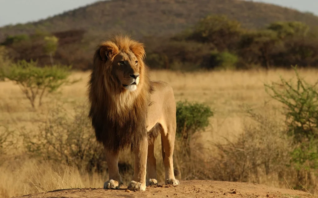 Sud Africa - Self drive tra Kruger, Swaziland e Natal 1